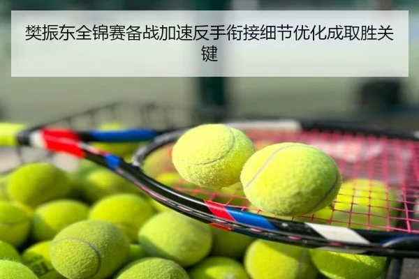 樊振东全锦赛备战加速反手衔接细节优化成取胜关键